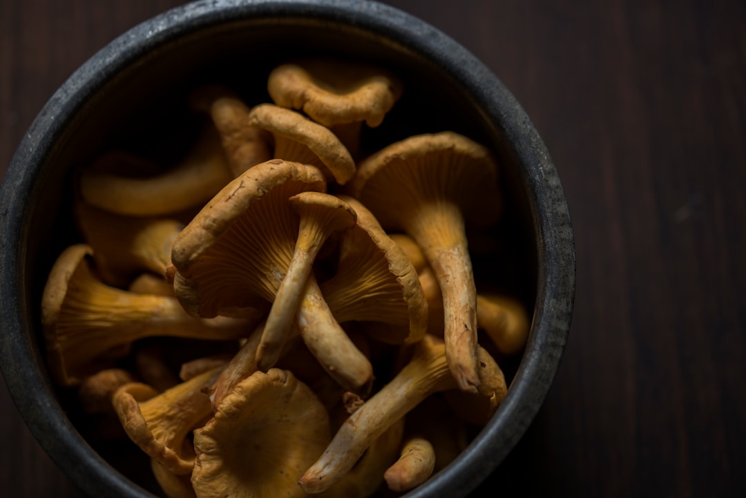 Bowl of Mushrooms